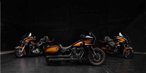 visuel Collection Enthusiast 2024